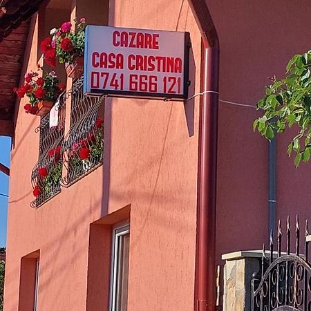 Casa Cristina 호텔 Cîrţişoara 외부 사진