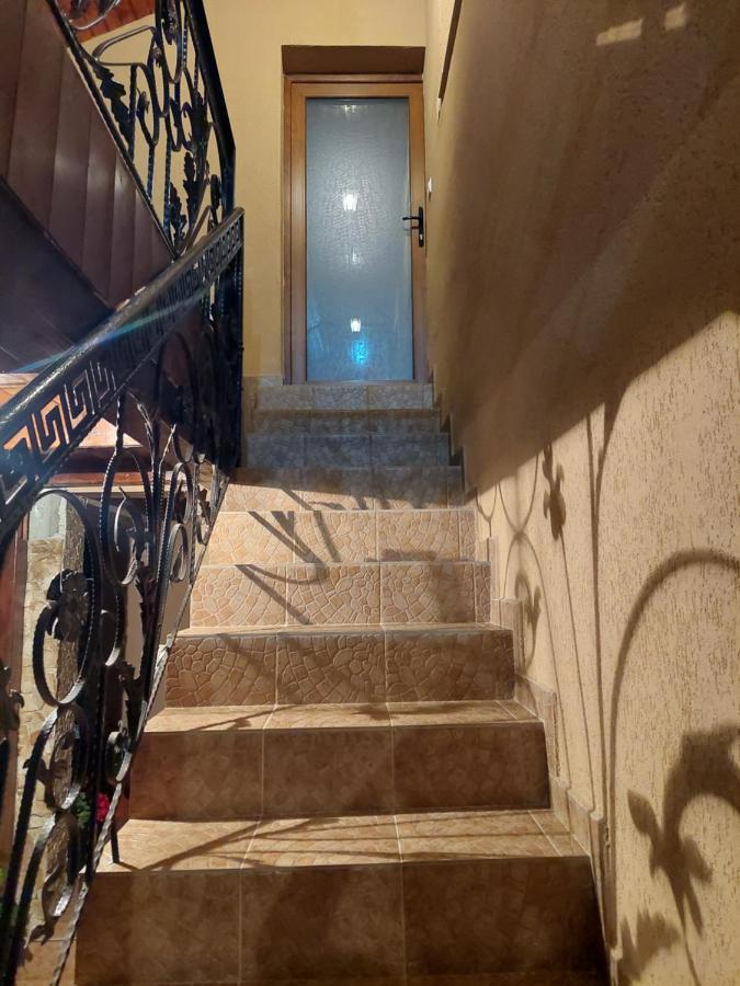 Casa Cristina 호텔 Cîrţişoara 외부 사진
