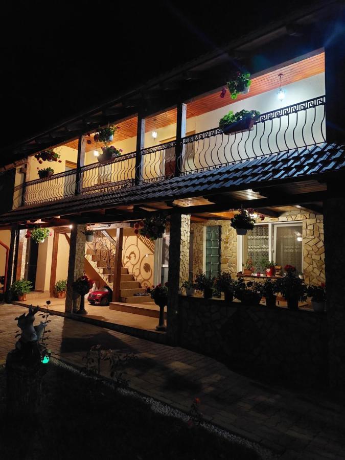 Casa Cristina 호텔 Cîrţişoara 외부 사진