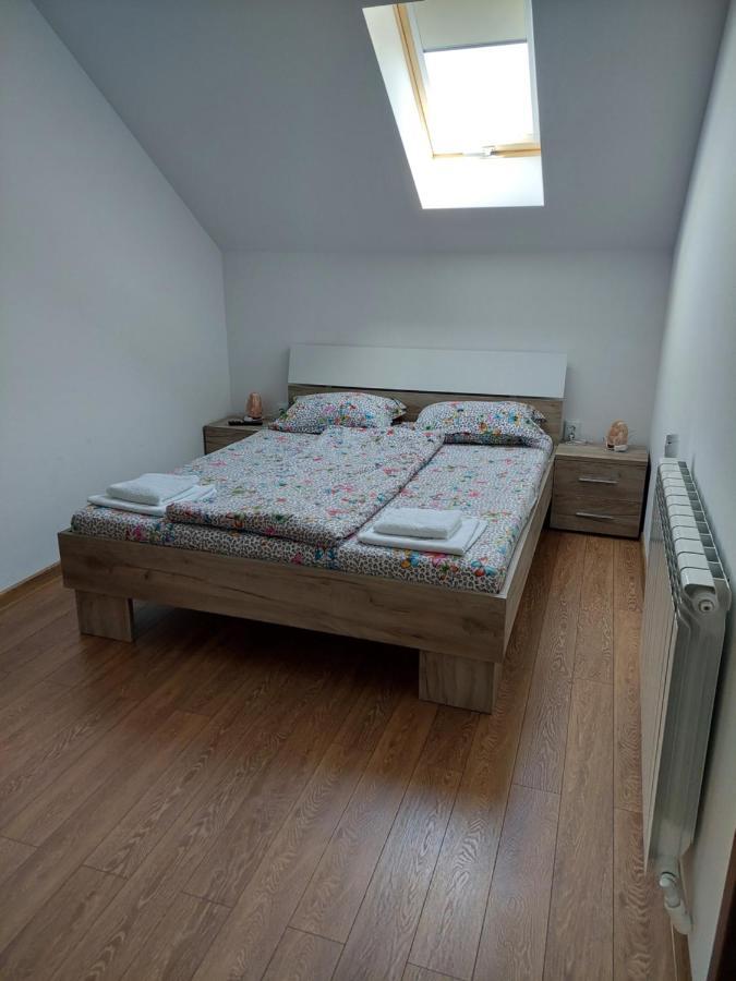 Casa Cristina 호텔 Cîrţişoara 외부 사진