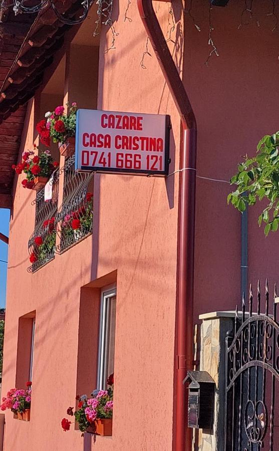 Casa Cristina 호텔 Cîrţişoara 외부 사진