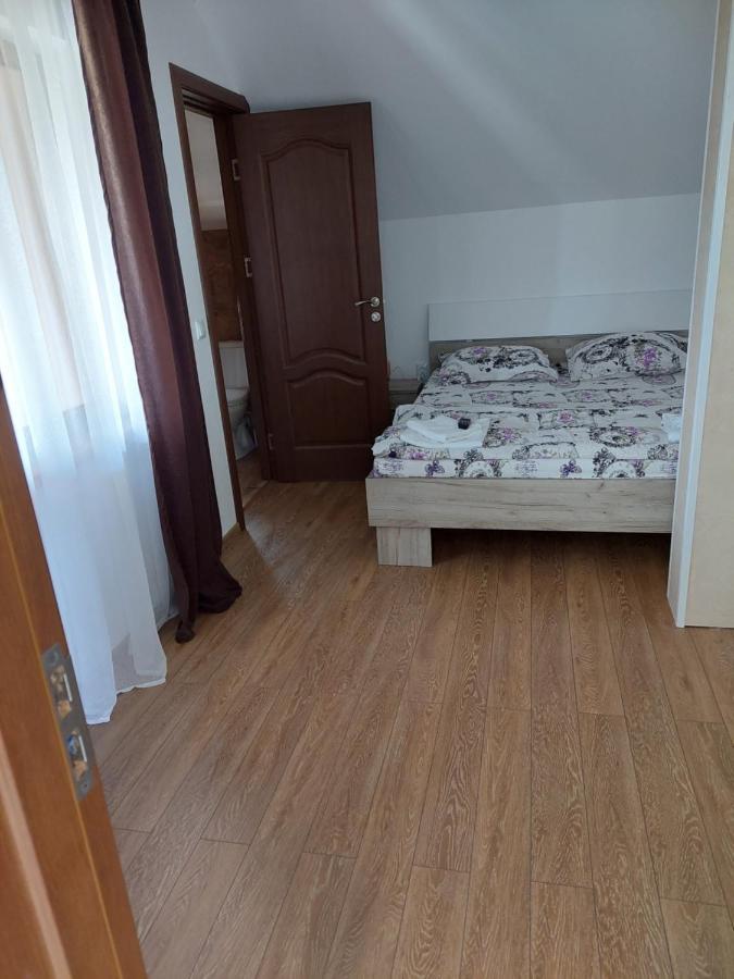 Casa Cristina 호텔 Cîrţişoara 외부 사진