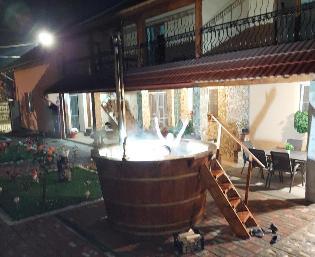 Casa Cristina 호텔 Cîrţişoara 외부 사진