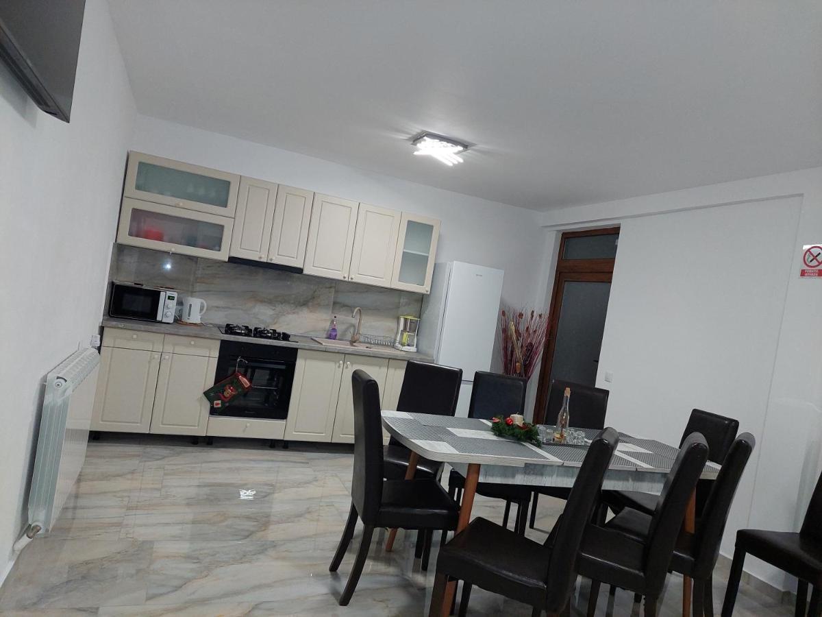 Casa Cristina 호텔 Cîrţişoara 외부 사진
