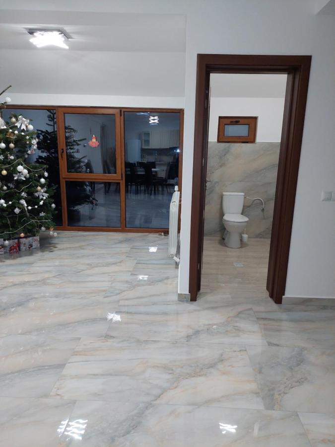 Casa Cristina 호텔 Cîrţişoara 외부 사진