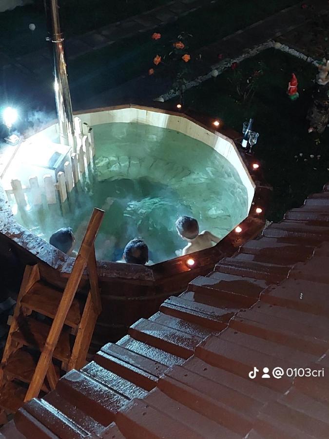 Casa Cristina 호텔 Cîrţişoara 외부 사진