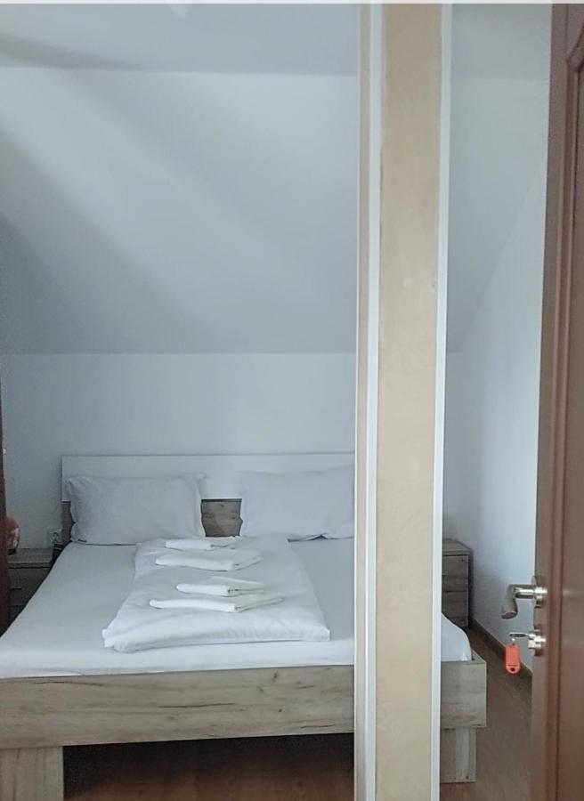Casa Cristina 호텔 Cîrţişoara 외부 사진