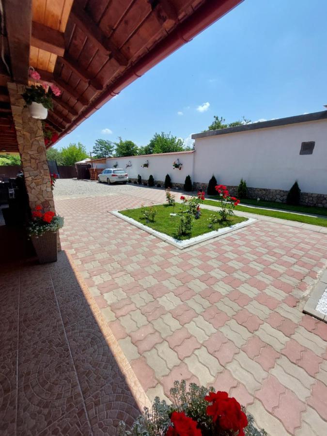 Casa Cristina 호텔 Cîrţişoara 외부 사진