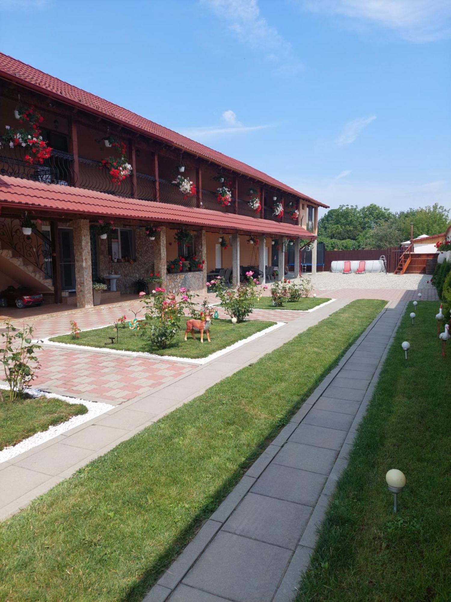 Casa Cristina 호텔 Cîrţişoara 외부 사진